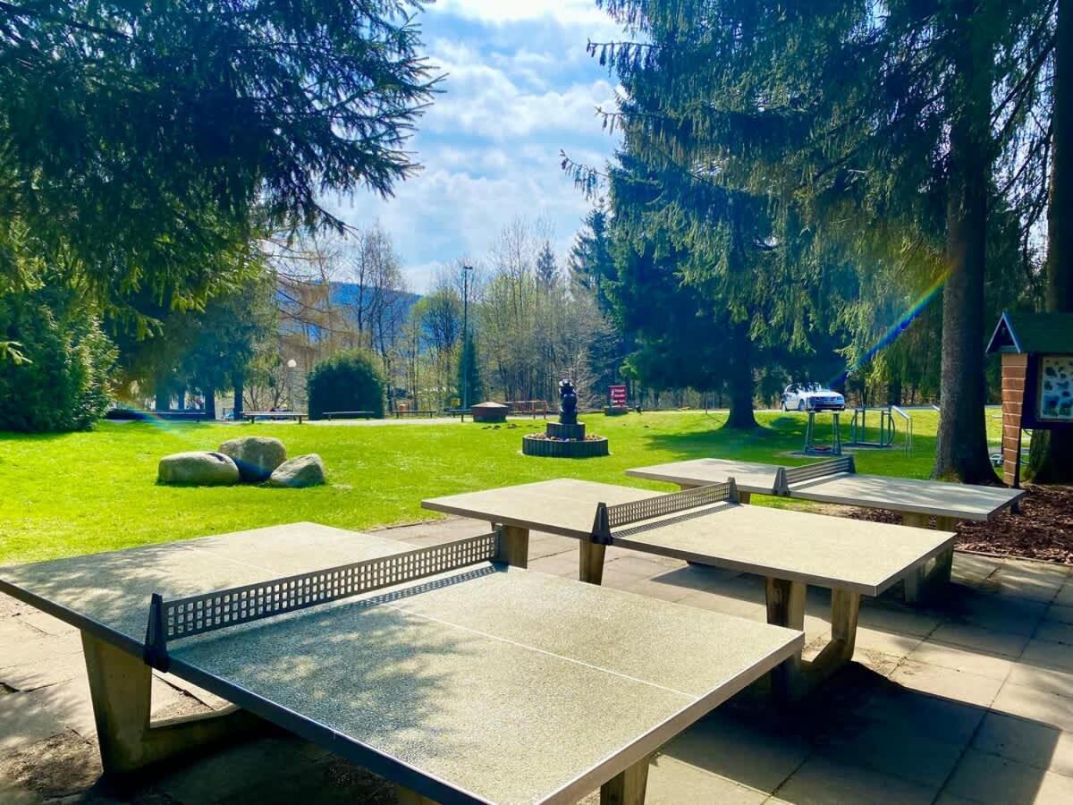 Relaxapartments Abendsonne Im Herzen Des Harzes - Ein El Dorado Fuer Wanderer, Biker Und Ruhesuchende - Mit Sonnigem Balkon Und Platz Fuer Bis Zu 3 Personen Goslar Exterior foto