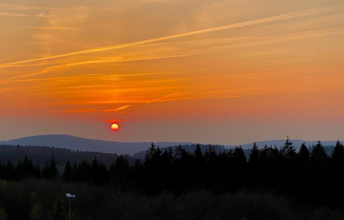 Relaxapartments Abendsonne Im Herzen Des Harzes - Ein El Dorado Fuer Wanderer, Biker Und Ruhesuchende - Mit Sonnigem Balkon Und Platz Fuer Bis Zu 3 Personen Goslar Exterior foto